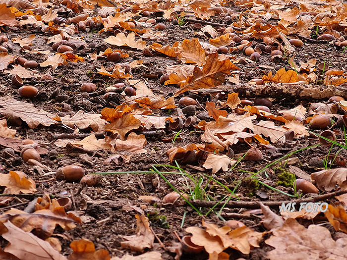 20251010_084852 20251010_084852