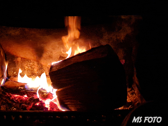 20260117_230421 20260117_230421